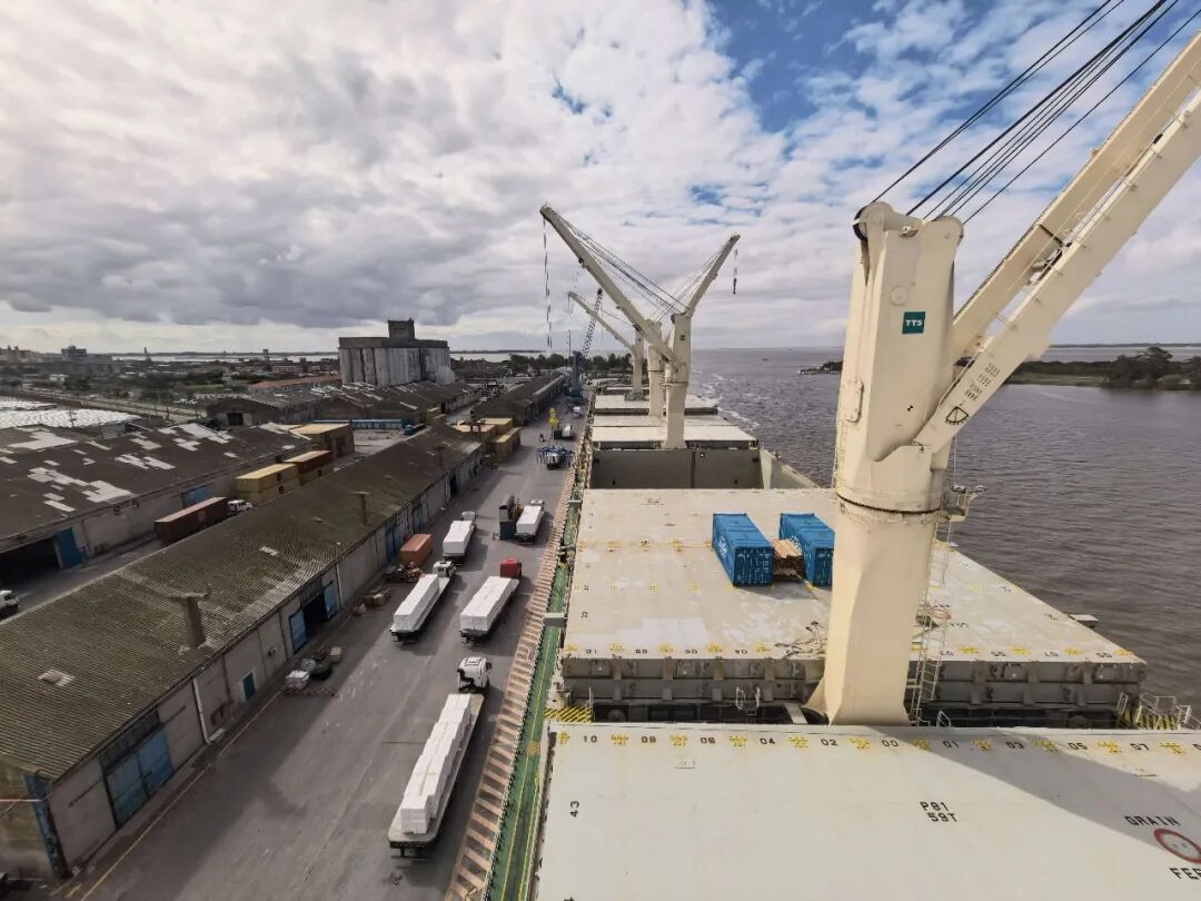COSCO SHIPPING Specialized Carriers Completes First Pulp Loading Operation at Rio Grande, Brazil